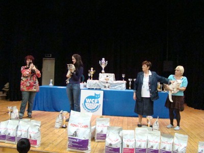 20121021_316 (Expo)
